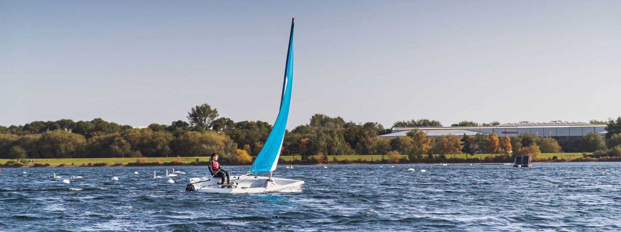 Person sailing on Willen Lake in Milton Keynes with swans