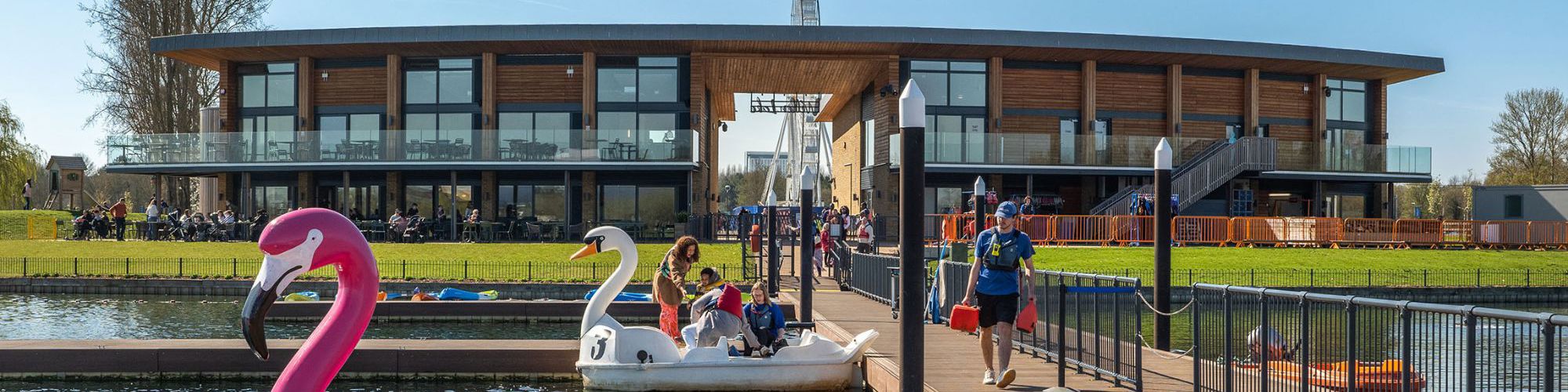 Flamingo and Swan Pedalo Outside Watersports Centre