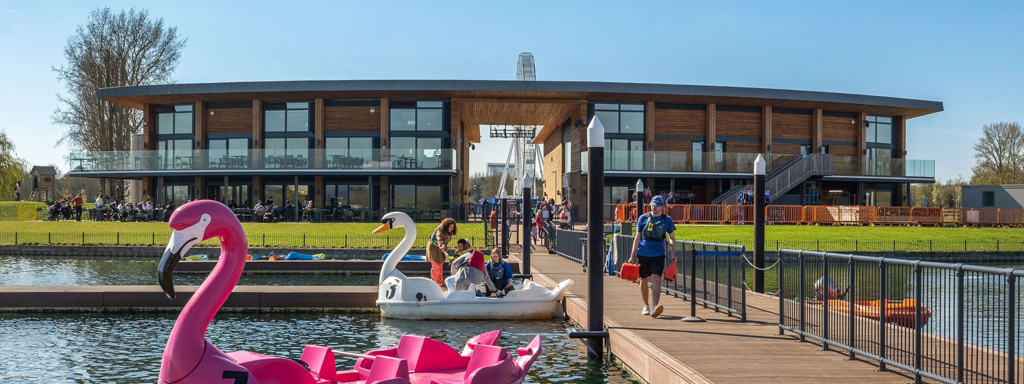 Flamingo and Swan Pedalo Outside Watersports Centre