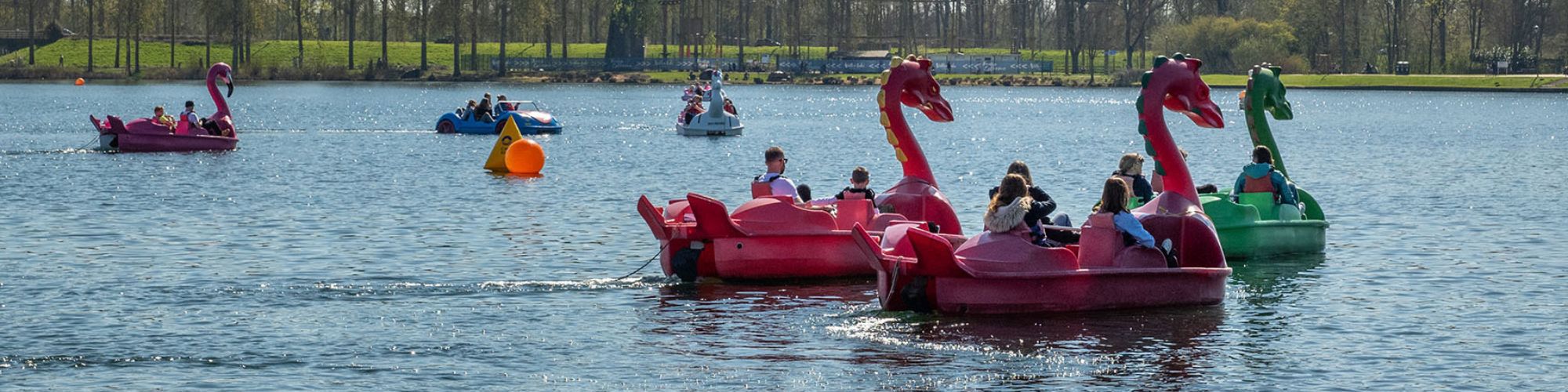 Dragon pedalos on Willen Lake with trees in the distance