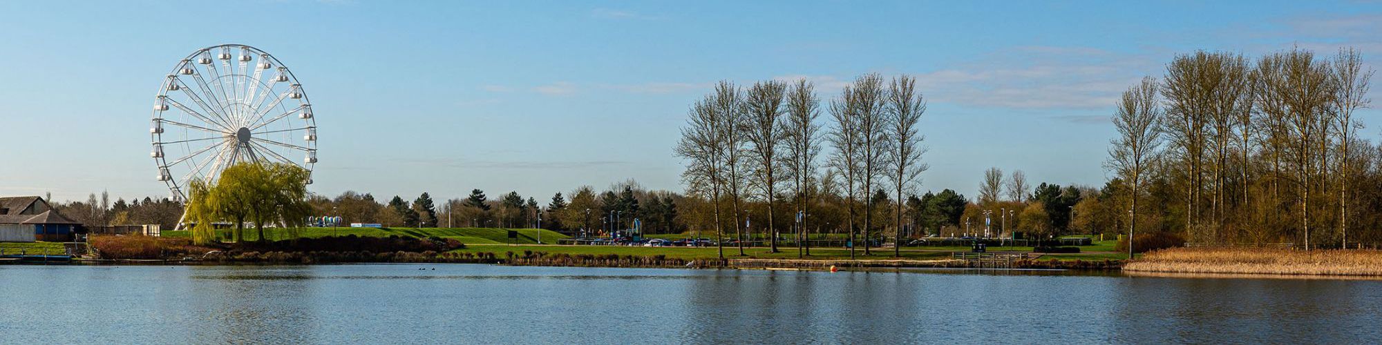 View across Willen Lake with trees and observation wheel