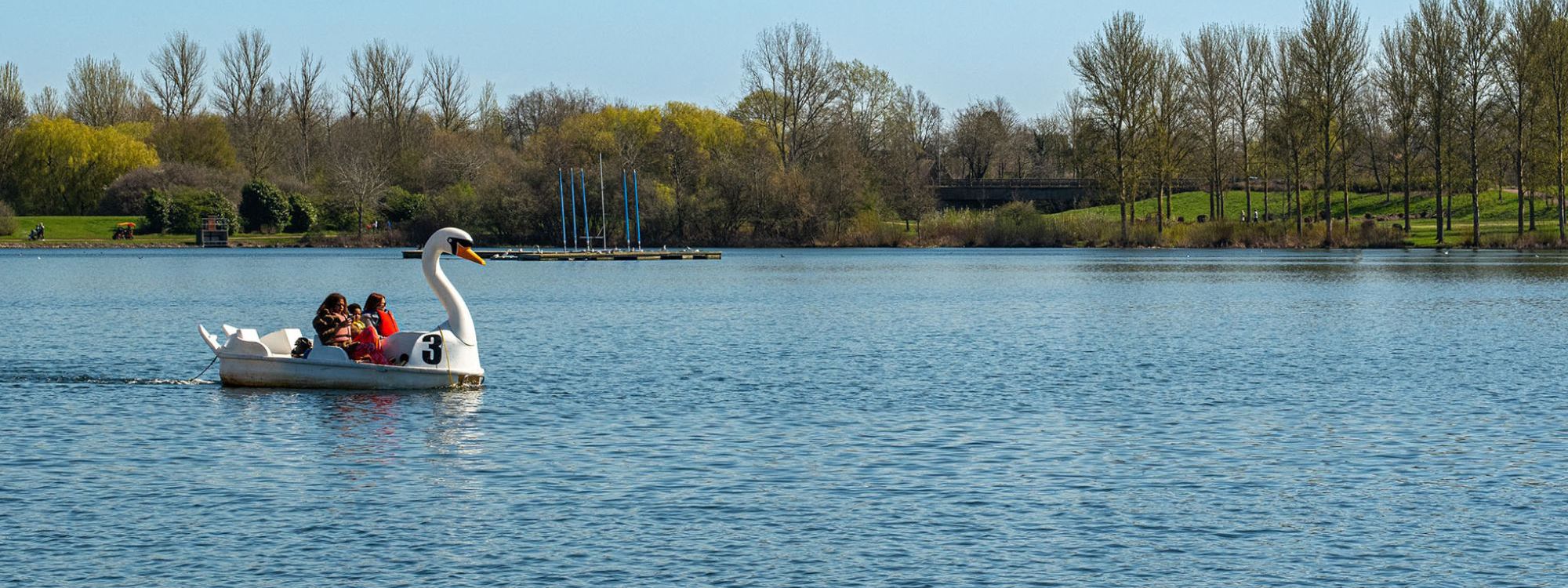 Swan pedalo on Willen Lake in Milton Keynes